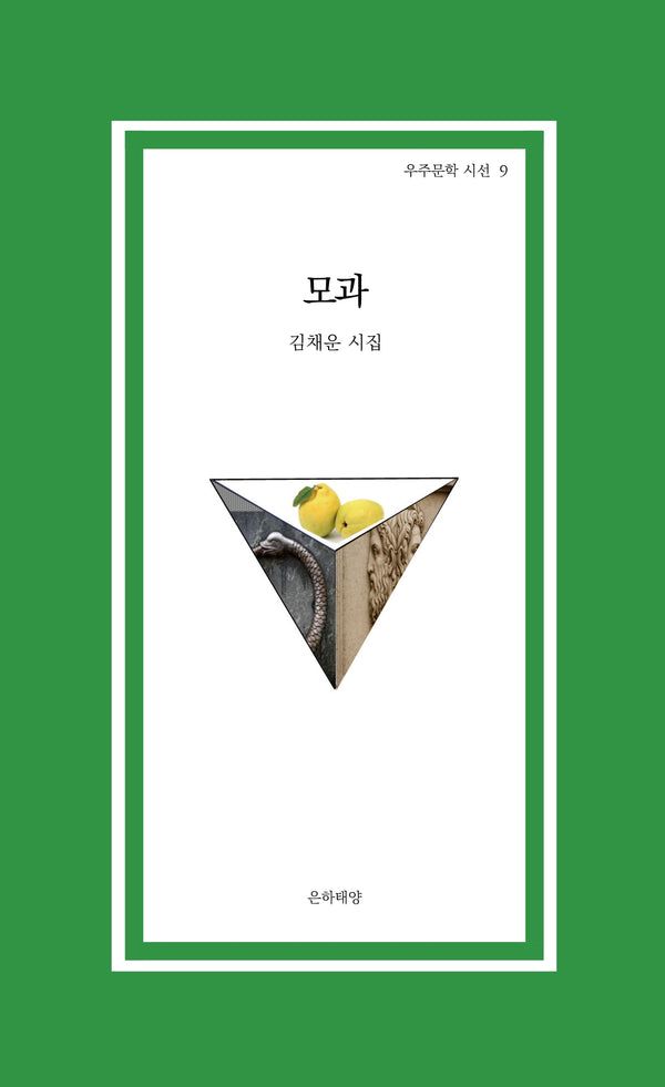 모과(우주문학 시선 9)(우주문학 시선 9)