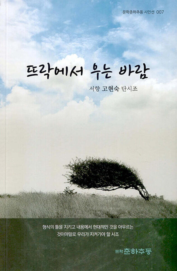 뜨락에서 우는 바람(문학춘하추동 시인선 7)