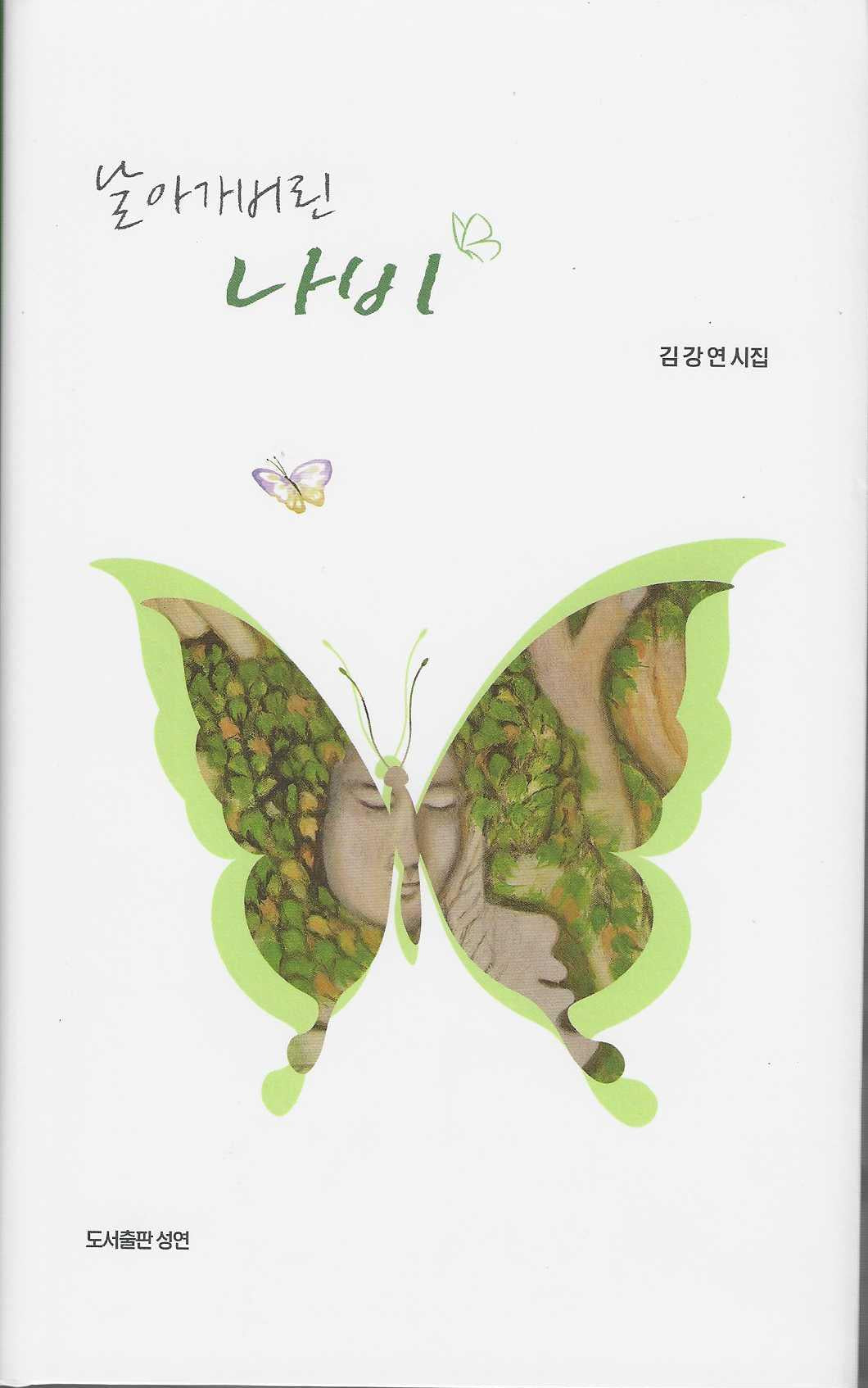 날아가버린 나비(성연시인선 26)