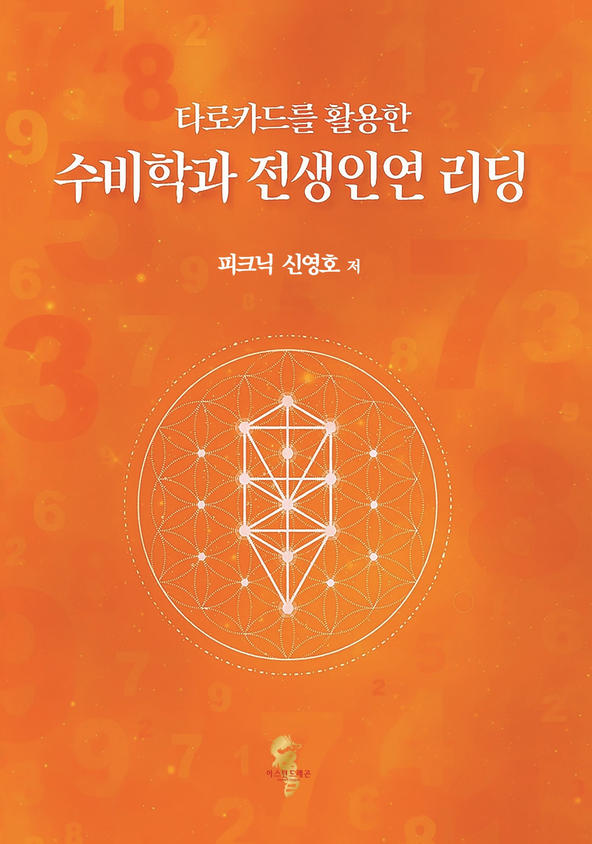 수비학과 전생인연 리딩(타로카드를 활용한)(수정판)