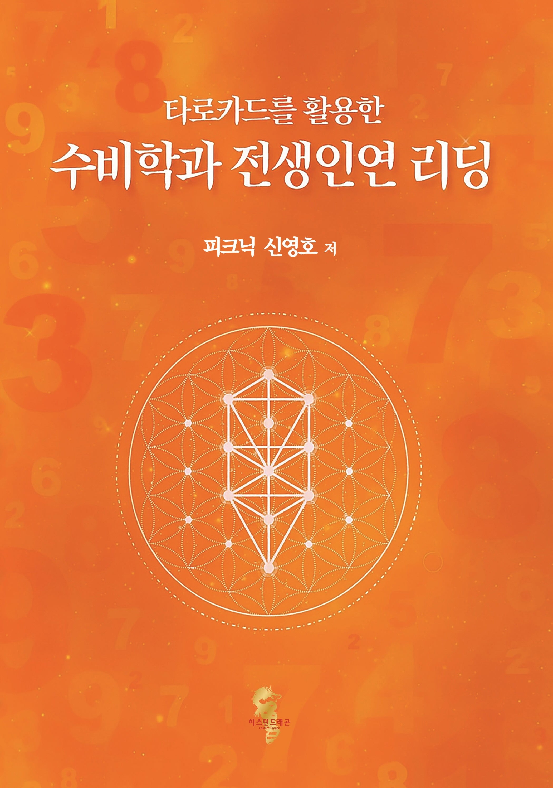 수비학과 전생인연 리딩(타로카드를 활용한)(수정판)