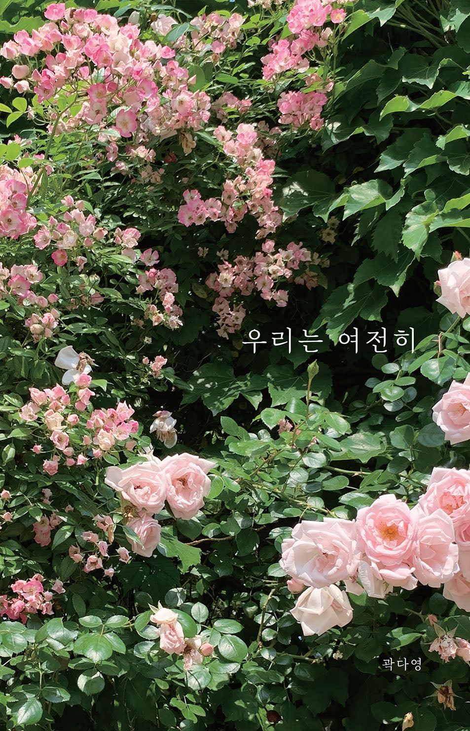 우리는 여전히(개정판)