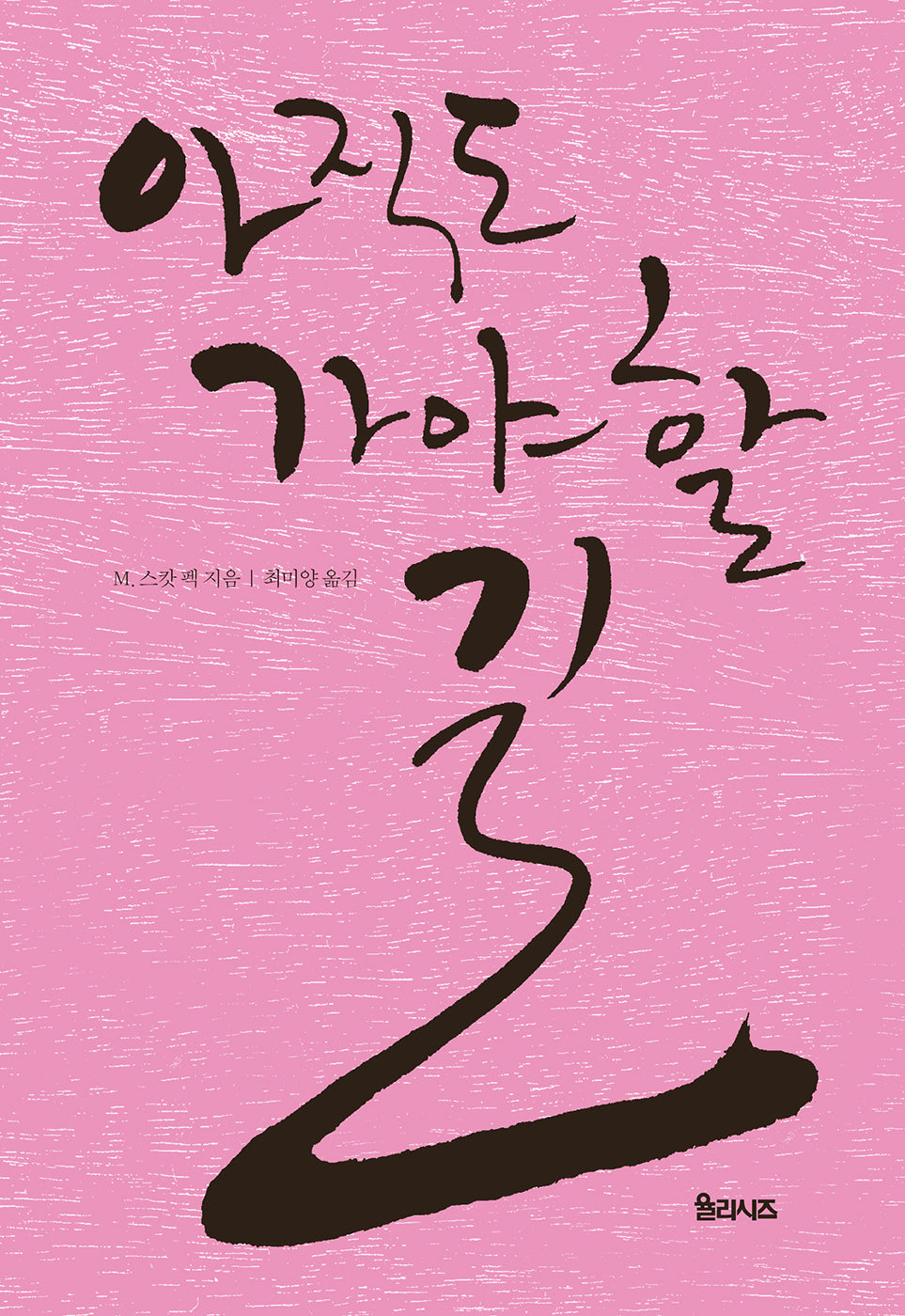 아직도 가야 할 길(개정판)