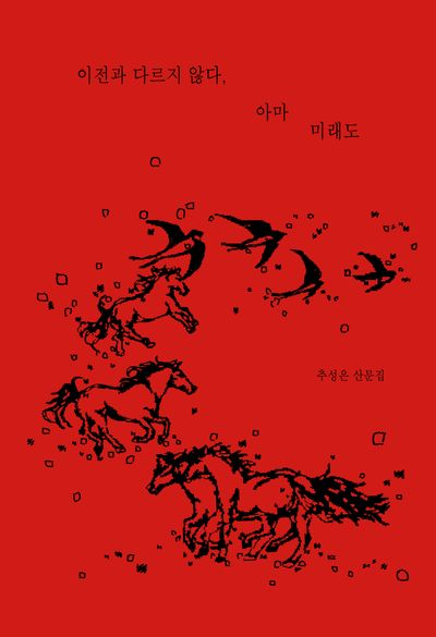 이전과 다르지 않다, 아마 미래도(산문과 결)