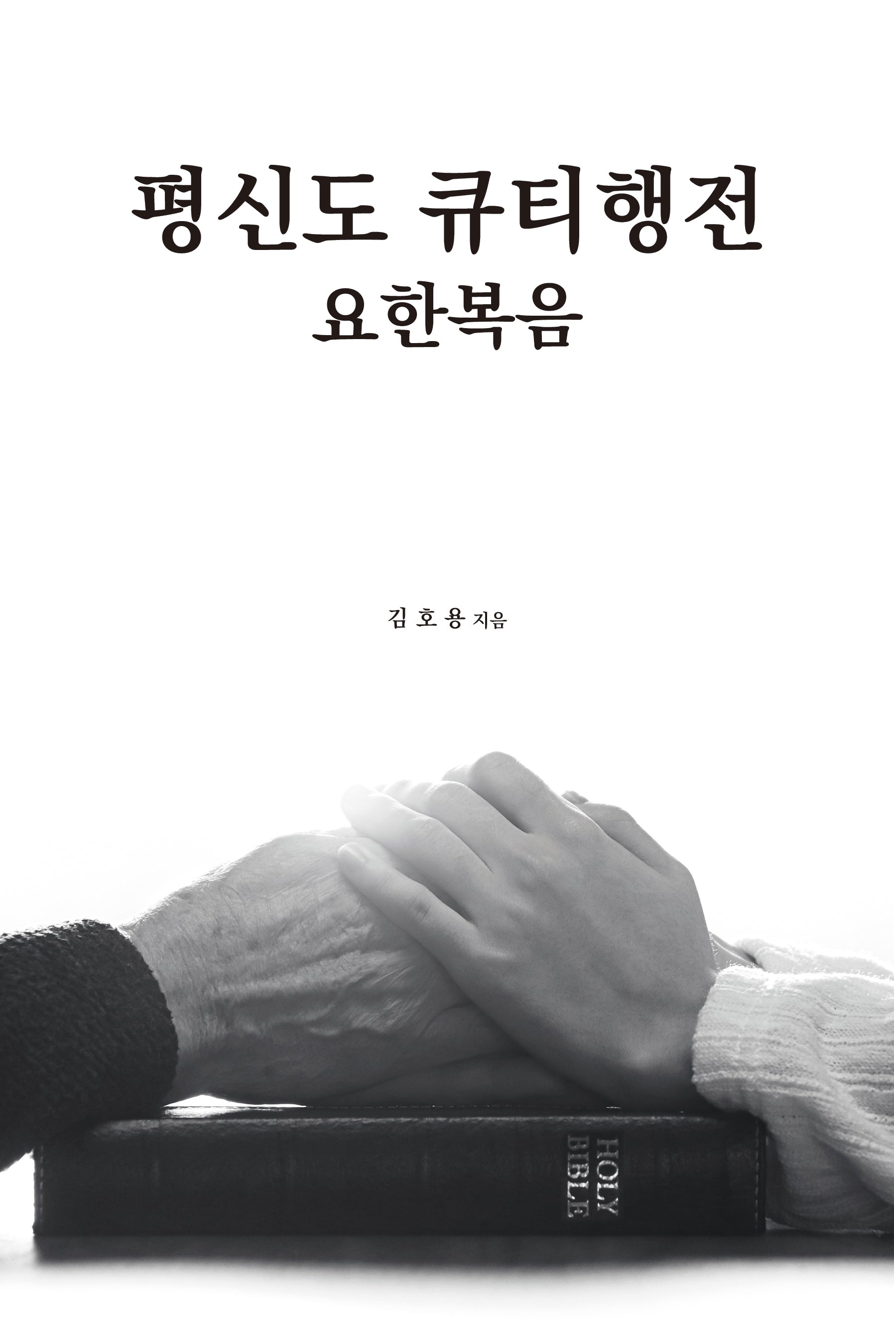 평신도 큐티행전: 요한복음