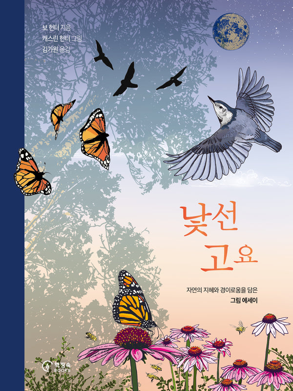 낯선 고요