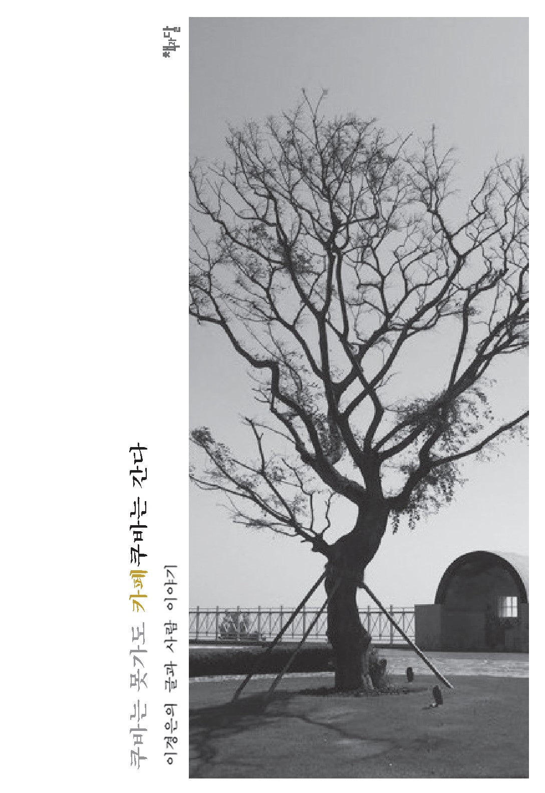 쿠바는 못가도 카페쿠바는 간다
