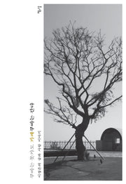 쿠바는 못가도 카페쿠바는 간다