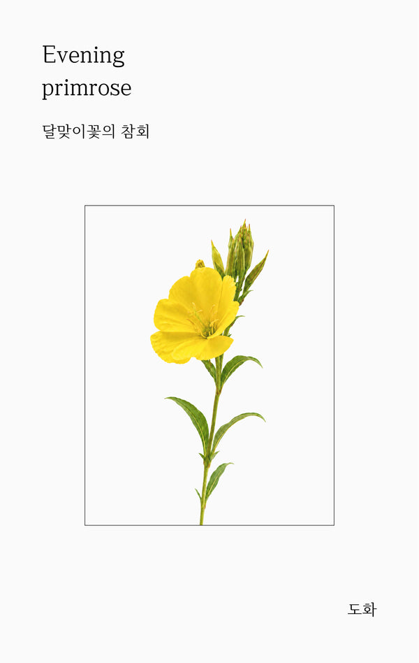 달맞이꽃의 참회