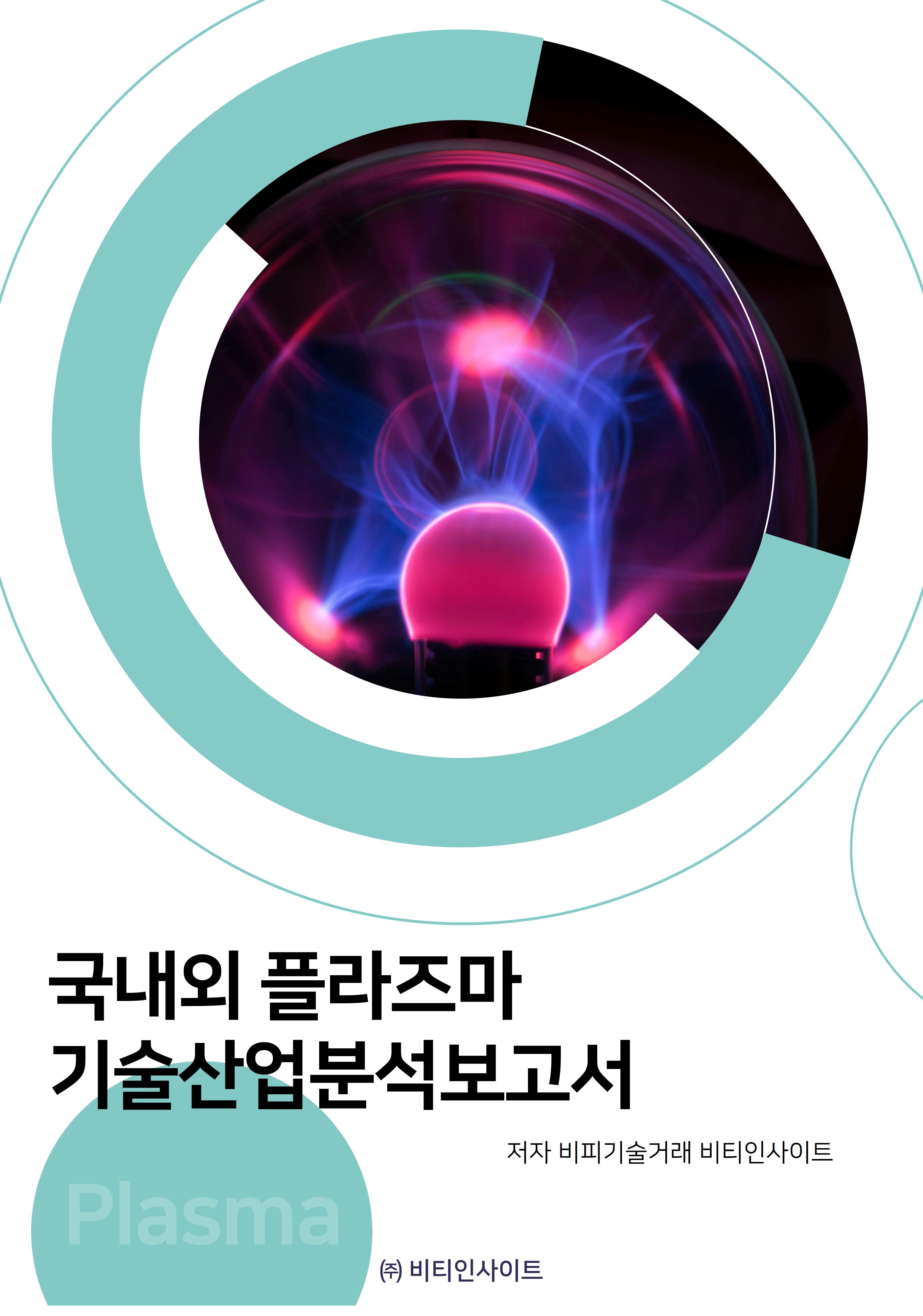 국내외 플라즈마 기술산업분석보고서