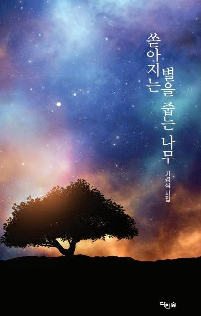 쏟아지는 별을 줍는 나무