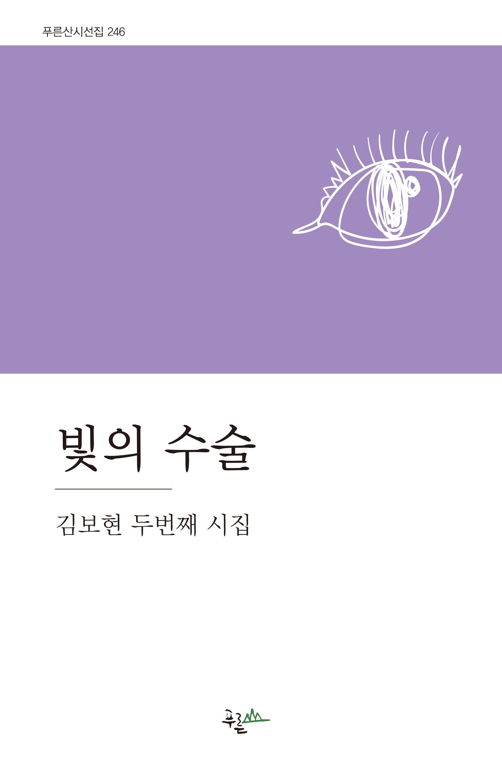 빛의 수술(푸른산시선 246)
