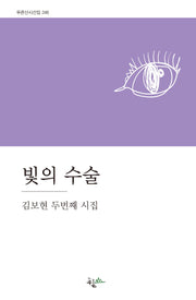 빛의 수술(푸른산시선 246)