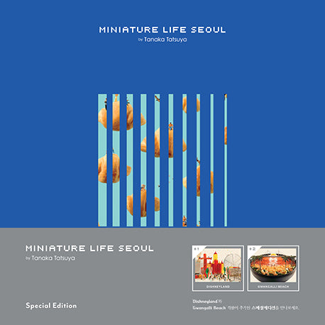 MINIATURE LIFE SEOUL