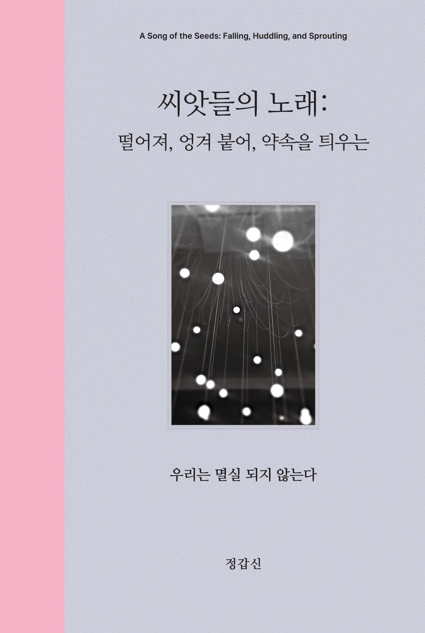 씨앗들의 노래(양장본 Hardcover)