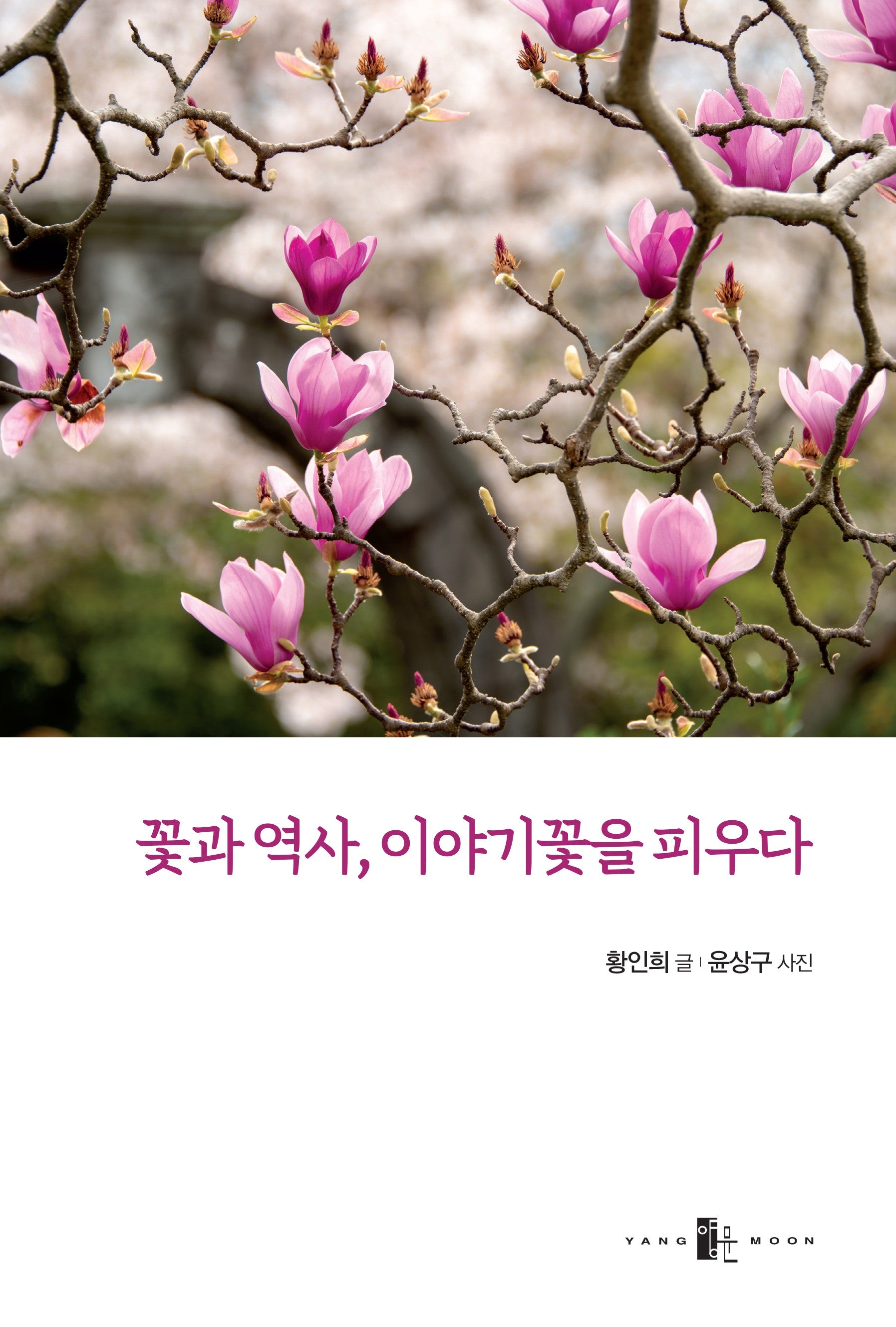 꽃과 역사, 이야기꽃을 피우다