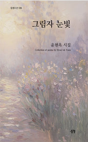 그림자 눈빛(동행시선 36)