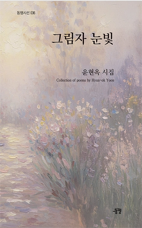 그림자 눈빛(동행시선 36)
