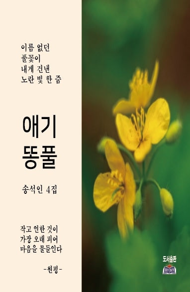 애기똥풀