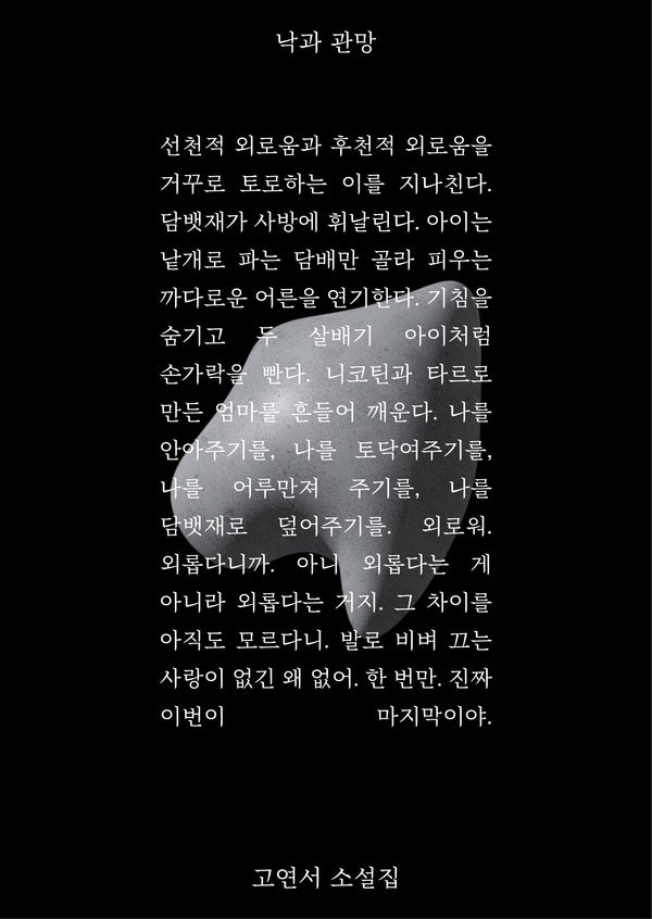 낙과 관망(2판)