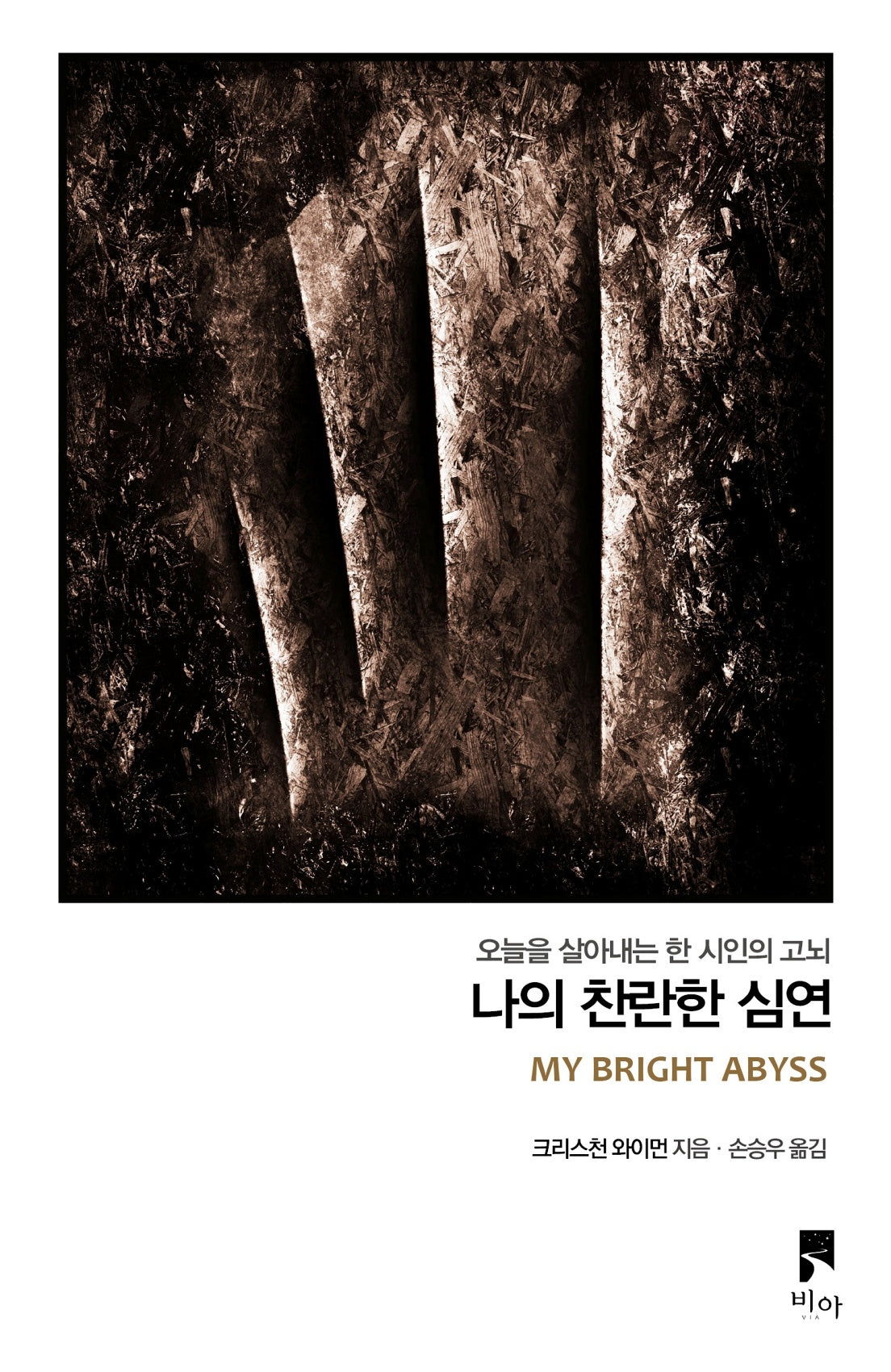 나의 찬란한 심연(오늘을 살아내는 한 시인의 고뇌)