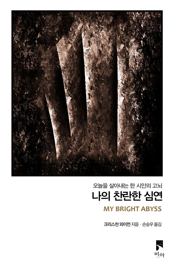 나의 찬란한 심연(오늘을 살아내는 한 시인의 고뇌)