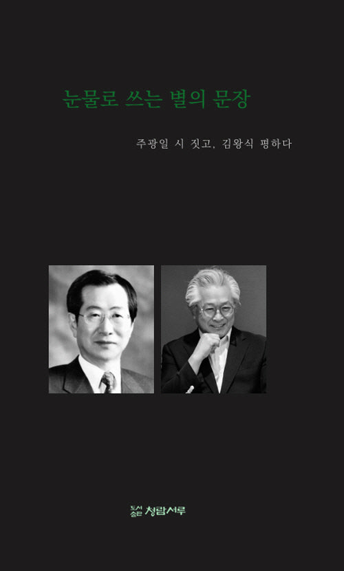 눈물로 쓰는 별의 문장