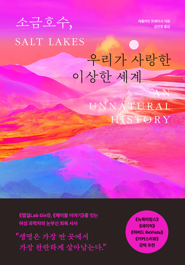 소금호수, 우리가 사랑한 이상한 세계