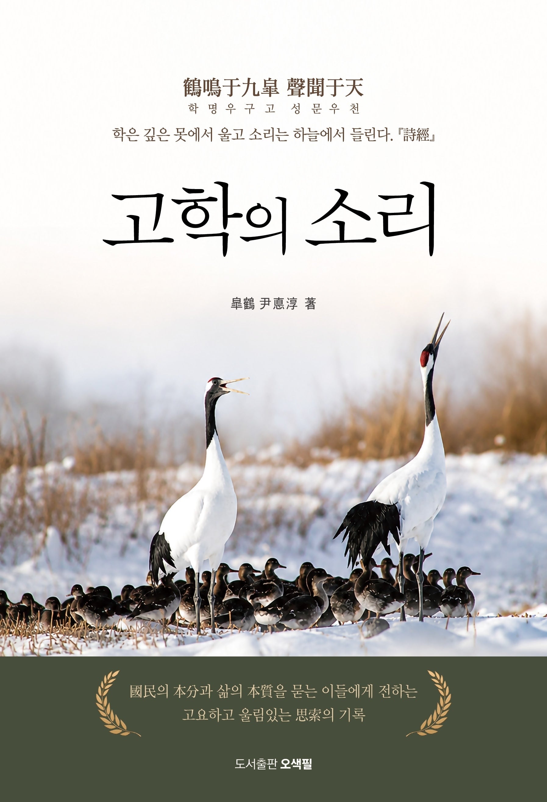 고학의 소리