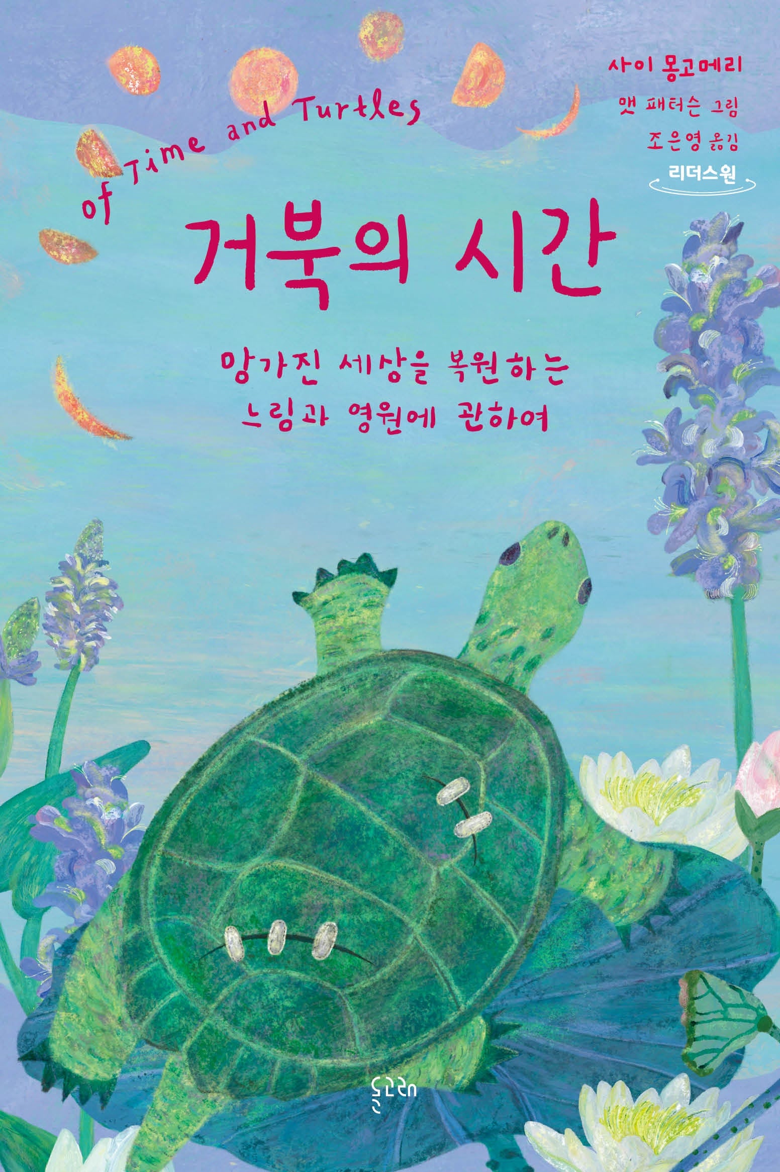 거북의 시간(큰글자도서)(리더스원)