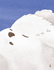 하얀 바람(양장본 Hardcover)
