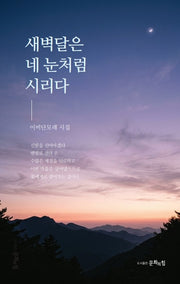 새벽달은 네 눈처럼 시리다(문힘시선 043)