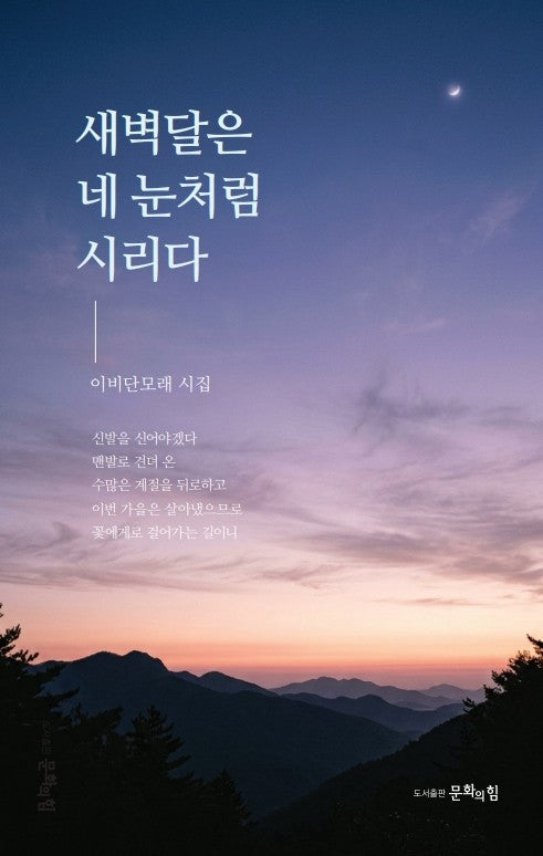새벽달은 네 눈처럼 시리다(문힘시선 043)