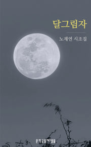 달그림자