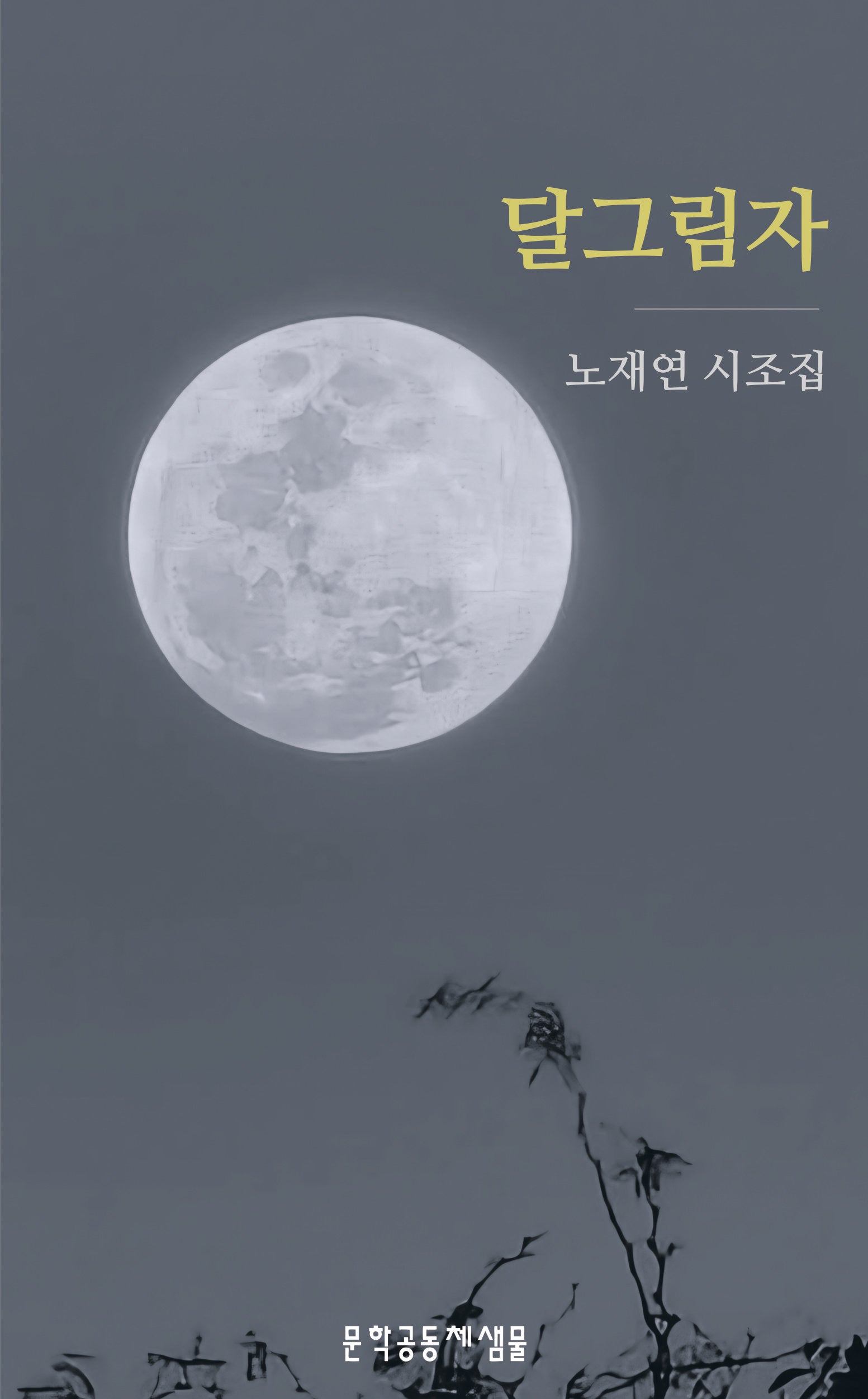 달그림자