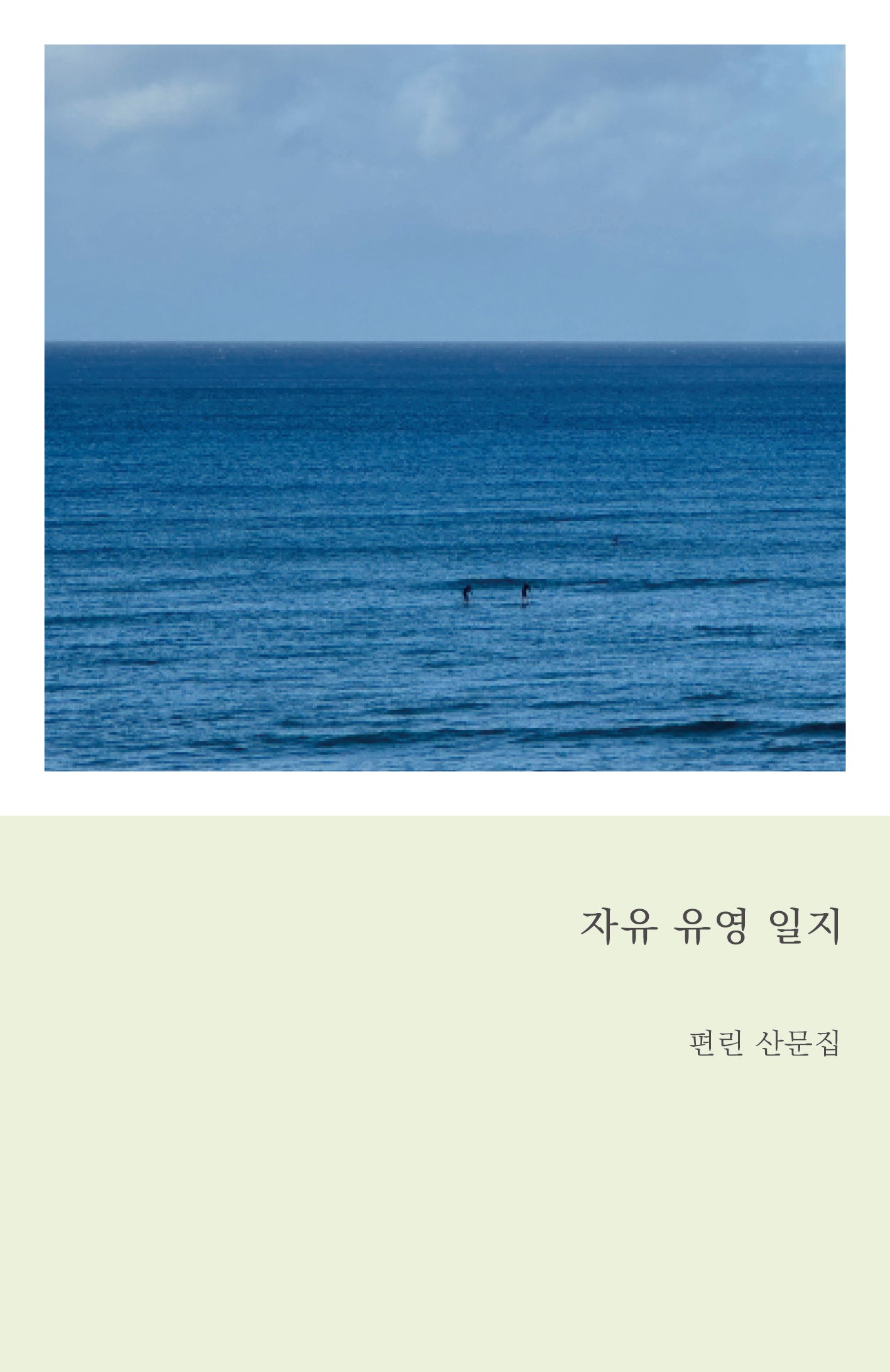자유 유영 일지