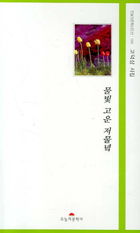 물빛 고운 저물녘(오늘의문학시인선 198)